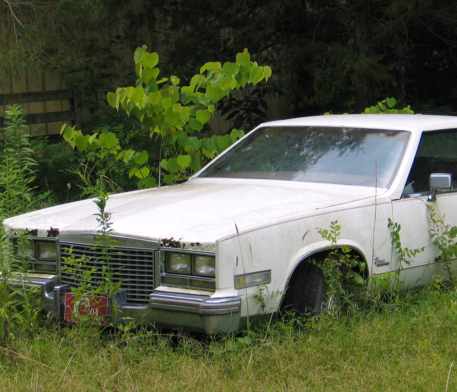 Salvaging your Car Isn’t a Bad Thing